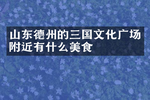 山东德州的三国文化广场附近有什么美食
