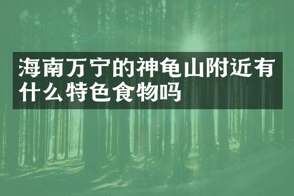 海南万宁的神龟山附近有什么特色食物吗