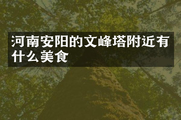 河南安阳的文峰塔附近有什么美食