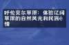 呼伦贝尔草原：体验辽阔草原的自然风光和民族风情