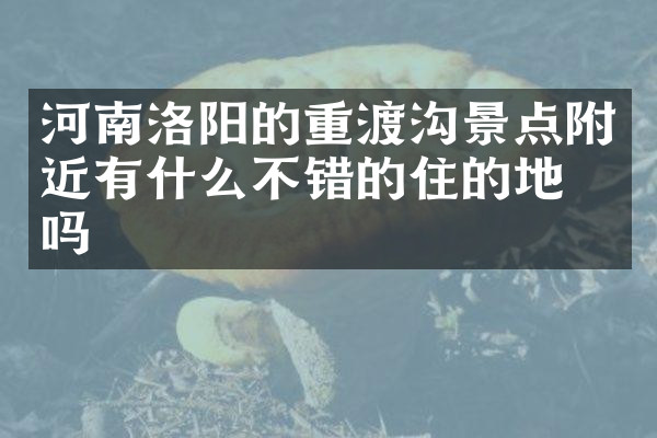 河南洛阳的重渡沟景点附近有什么不错的住的地方吗