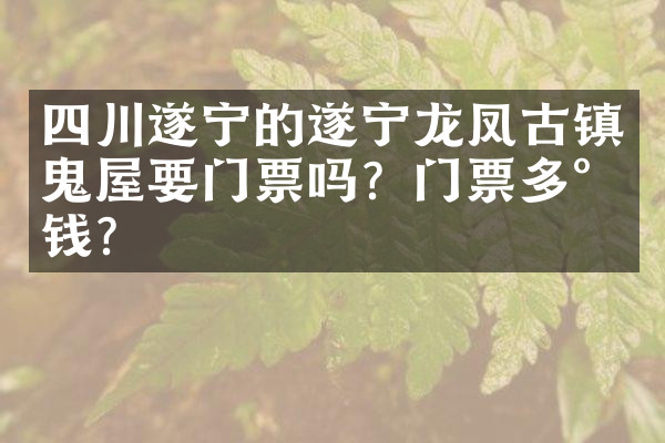 四川遂宁的遂宁龙凤古镇鬼屋要门票吗？门票多少钱？