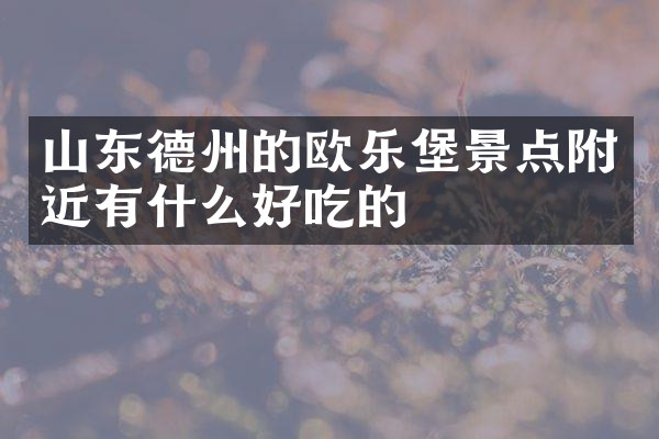 山东德州的欧乐堡景点附近有什么好吃的