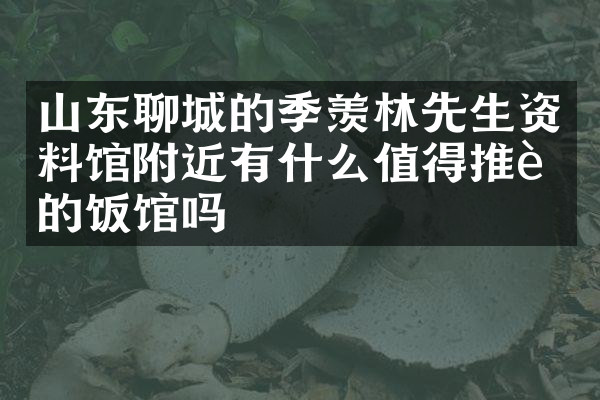 山东聊城的季羡林先生资料馆附近有什么值得推荐的饭馆吗