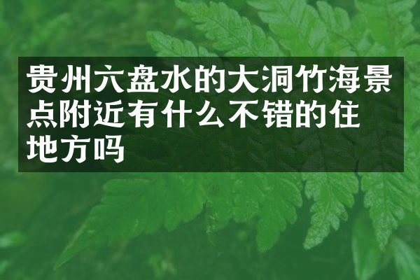 贵州六盘水的大洞竹海景点附近有什么不错的住的地方吗