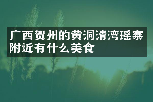 广西贺州的黄洞清湾瑶寨附近有什么美食