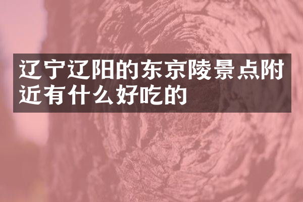 辽宁辽阳的东京陵景点附近有什么好吃的