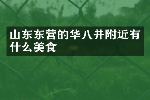山东东营的华八井附近有什么美食