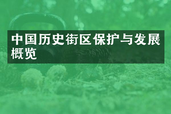 中国历史街区保护与发展概览
