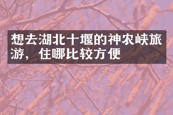 想去湖北十堰的神农峡旅游，住哪比较方便