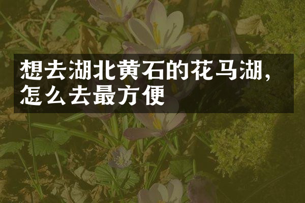想去湖北黄石的花马湖，怎么去最方便
