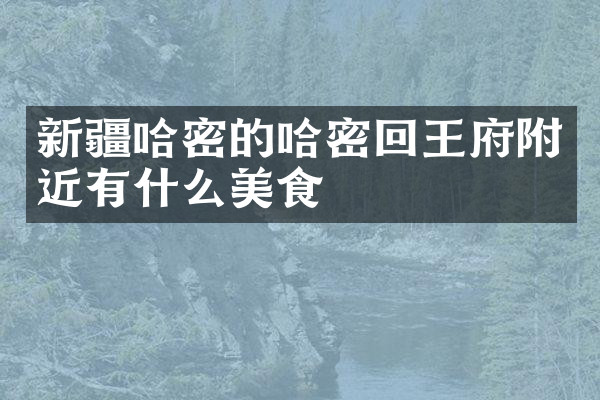 新疆哈密的哈密回王府附近有什么美食