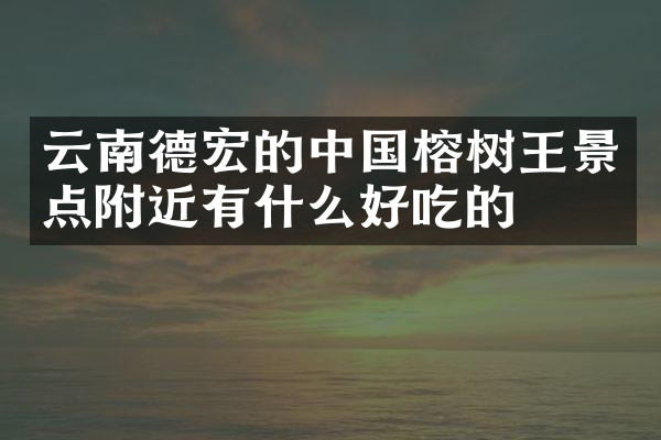 云南德宏的中国榕树王景点附近有什么好吃的