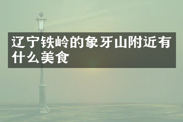 辽宁铁岭的象牙山附近有什么美食
