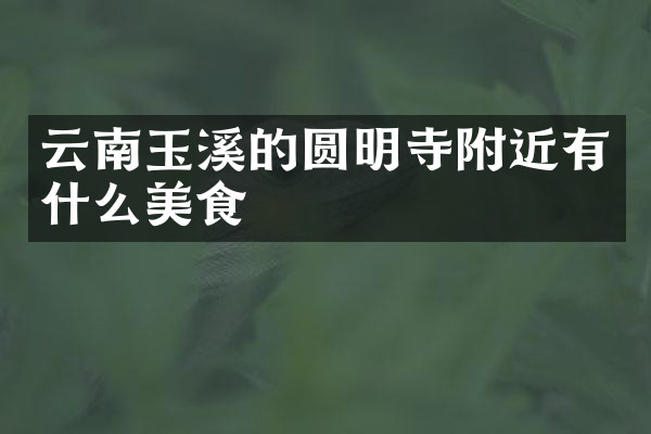 云南玉溪的圆明寺附近有什么美食