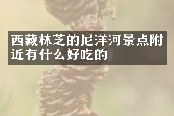 西藏林芝的尼洋河景点附近有什么好吃的