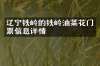 辽宁铁岭的铁岭油菜花门票信息详情