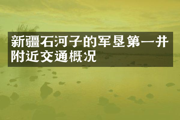 新疆石河子的军垦第一井附近交通概况