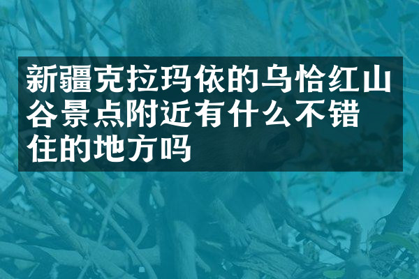 新疆克拉玛依的乌恰红山谷景点附近有什么不错的住的地方吗