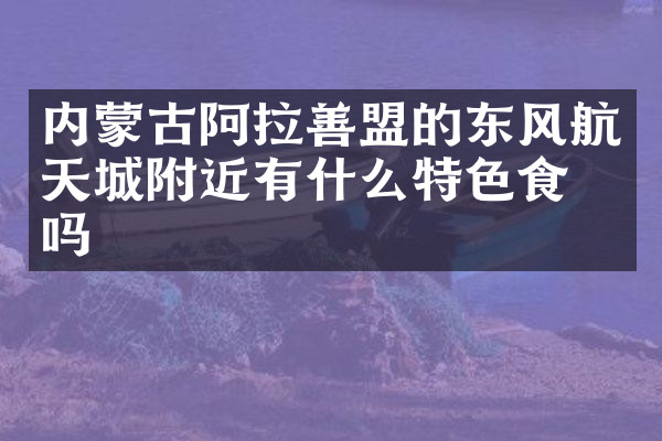 内蒙古阿拉善盟的东风航天城附近有什么特色食物吗