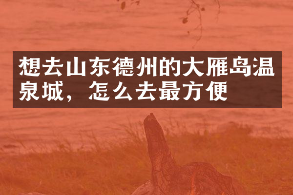 想去山东德州的大雁岛温泉城，怎么去最方便