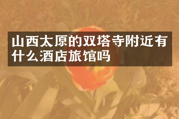 山西太原的双塔寺附近有什么酒店旅馆吗