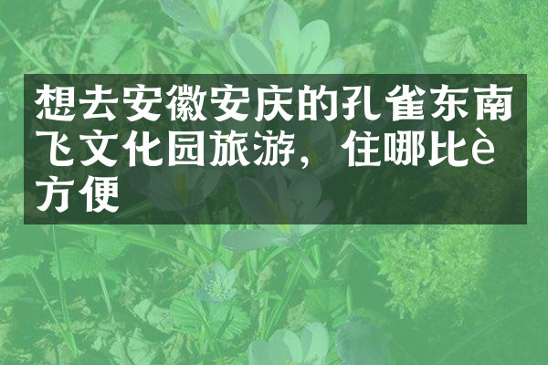 想去安徽安庆的孔雀东南飞文化园旅游，住哪比较方便