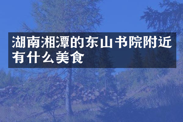 湖南湘潭的东山书院附近有什么美食