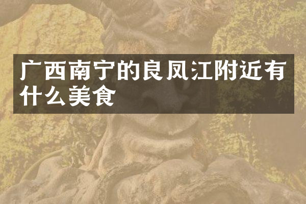 广西南宁的良凤江附近有什么美食