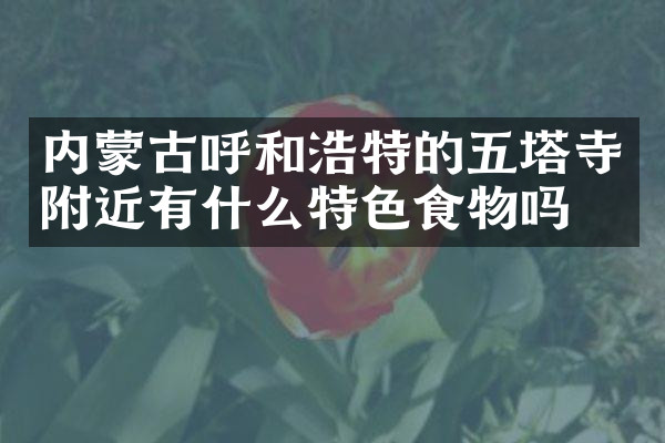 内蒙古呼和浩特的五塔寺附近有什么特色食物吗
