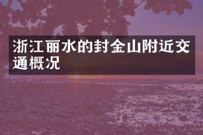 浙江丽水的封金山附近交通概况