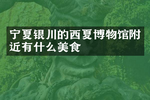 宁夏银川的西夏博物馆附近有什么美食