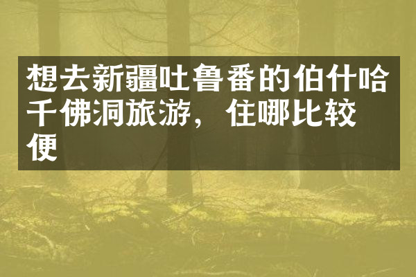 想去新疆吐鲁番的伯什哈千佛洞旅游，住哪比较方便