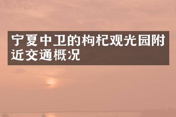 宁夏中卫的枸杞观光园附近交通概况