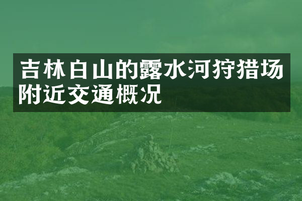 吉林白山的露水河狩猎场附近交通概况
