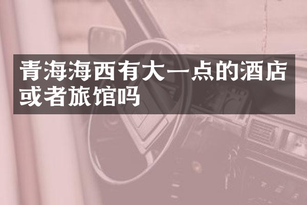 青海海西有大一点的酒店或者旅馆吗