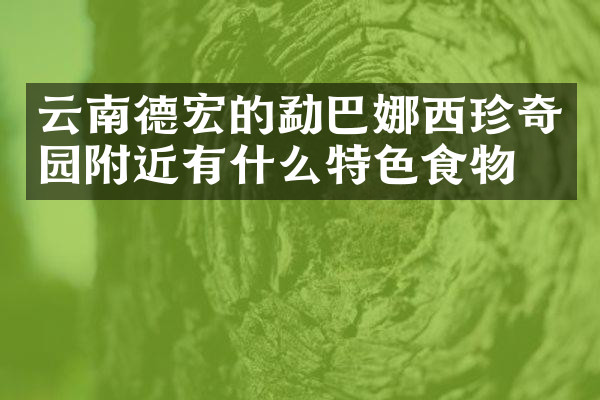 云南德宏的勐巴娜西珍奇园附近有什么特色食物吗