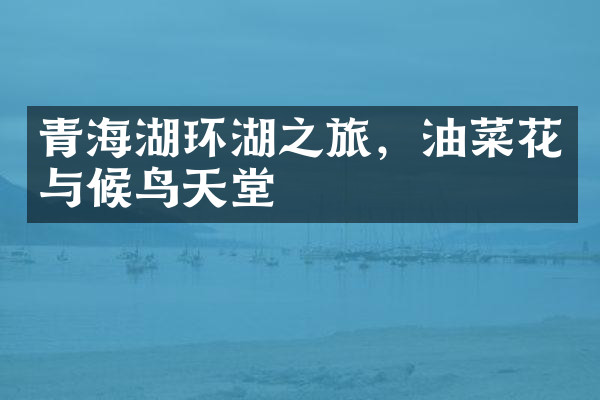 青海湖环湖之旅，油菜花与候鸟天堂