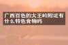 广西百色的大王岭附近有什么特色食物吗