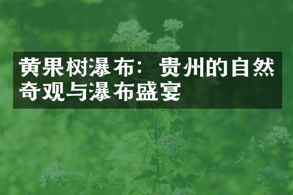 黄果树瀑布：贵州的自然奇观与瀑布盛宴