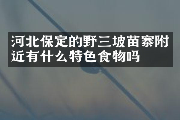河北保定的野三坡苗寨附近有什么特色食物吗