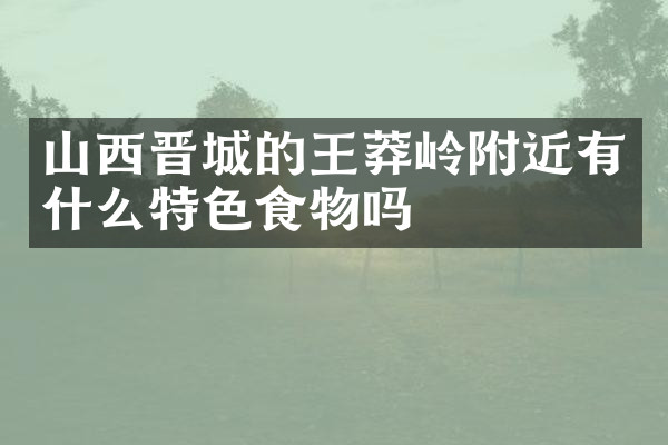 山西晋城的王莽岭附近有什么特色食物吗