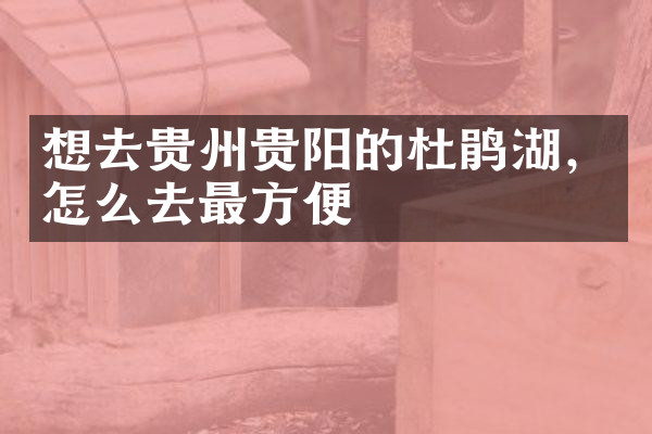 想去贵州贵阳的杜鹃湖，怎么去最方便