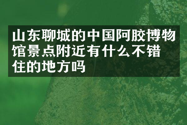 山东聊城的中国阿胶博物馆景点附近有什么不错的住的地方吗