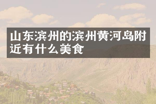 山东滨州的滨州黄河岛附近有什么美食