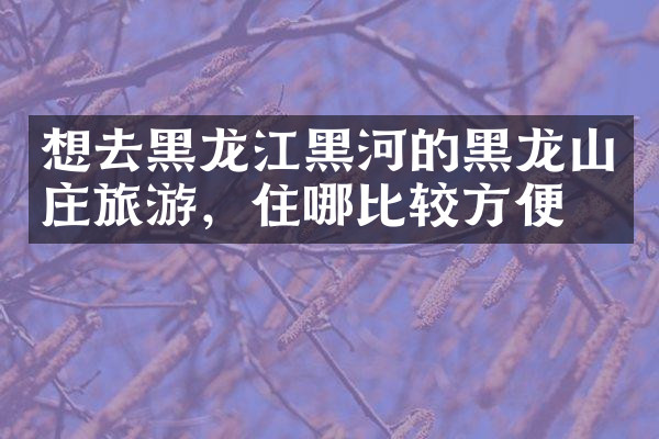 想去黑龙江黑河的黑龙山庄旅游，住哪比较方便