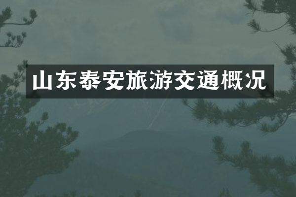 山东泰安旅游交通概况