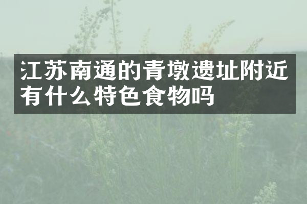 江苏南通的青墩遗址附近有什么特色食物吗