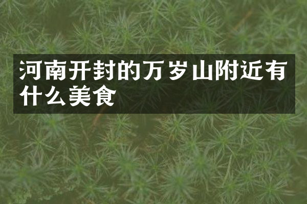 河南开封的万岁山附近有什么美食