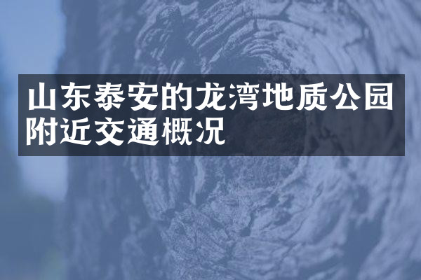 山东泰安的龙湾地质公园附近交通概况